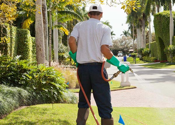 About Tivoli TX Pest Control